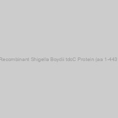 Image of Recombinant Shigella Boydii tdcC Protein (aa 1-443)